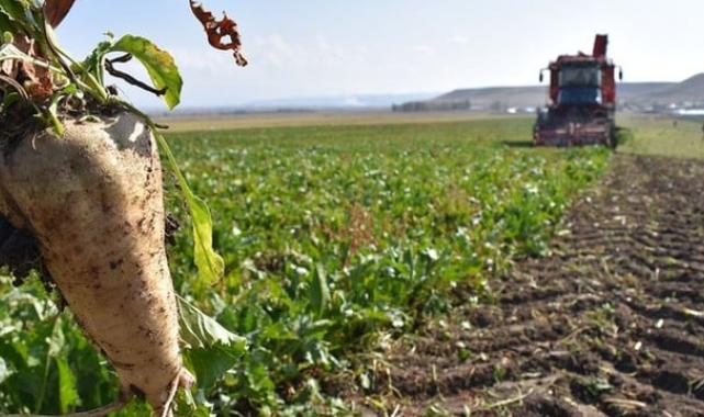 Tarım Bakanlığı planlı üretim için ilk adımı attı! Tarım sayımı yapılacak