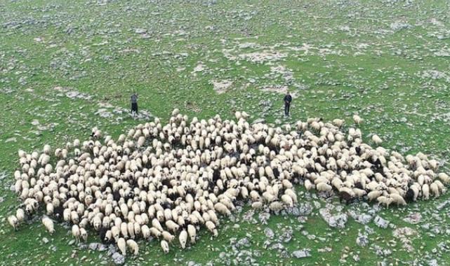 Tarım Bakanlığı planlı üretim için ilk adımı attı! Tarım sayımı yapılacak