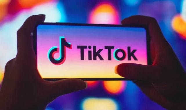 TikTok'a mahremiyet cezası! 345 milyon euro ödeyecek