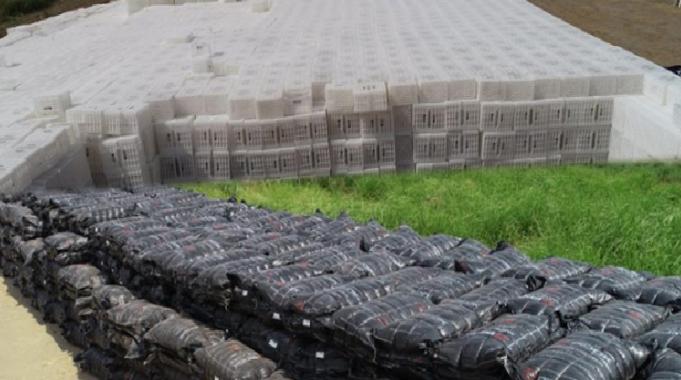 Zeytin ve incir üreticilerine büyük destek