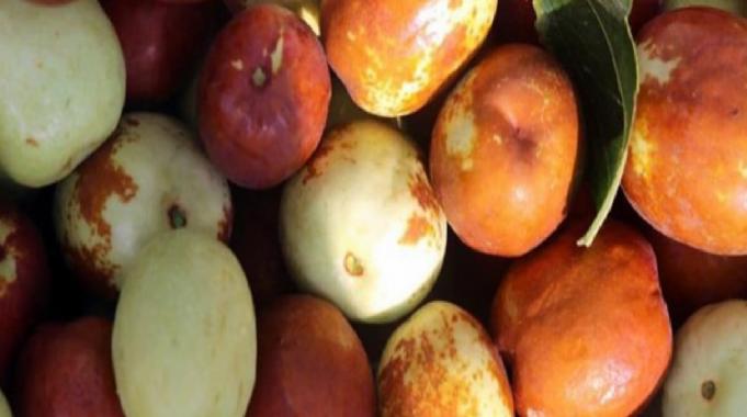 Aç karnına 2-3 tane hünnap yiyin, olanlara bakın...