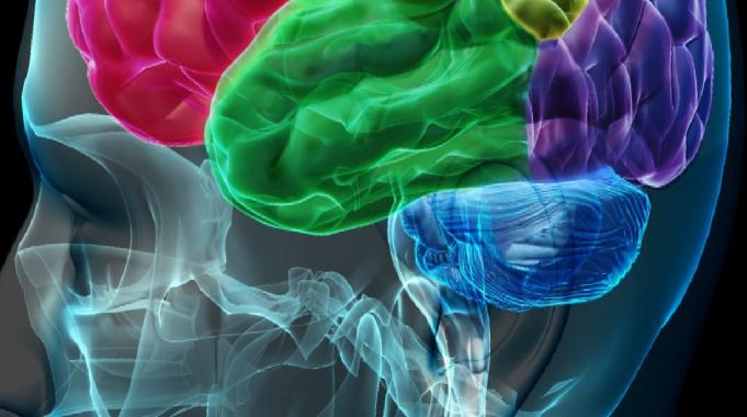 Bu 10 özelliği taşıyorsanız: Üstün zekalısınız! İşte üstün zekalıların fark yaratan özellikleri