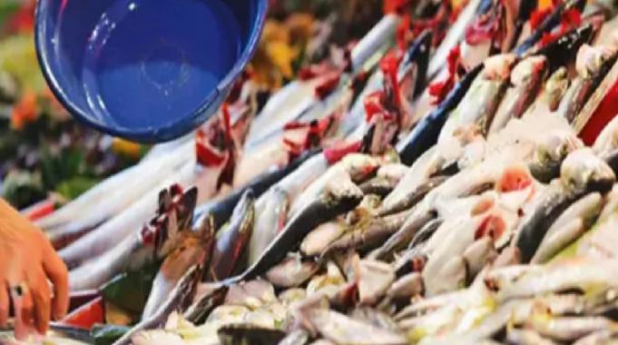 Bu balığı yiyenler o hastalıktan sonsuza kadar kurtulacak! Gözümüzün önündeki saklı cevher...