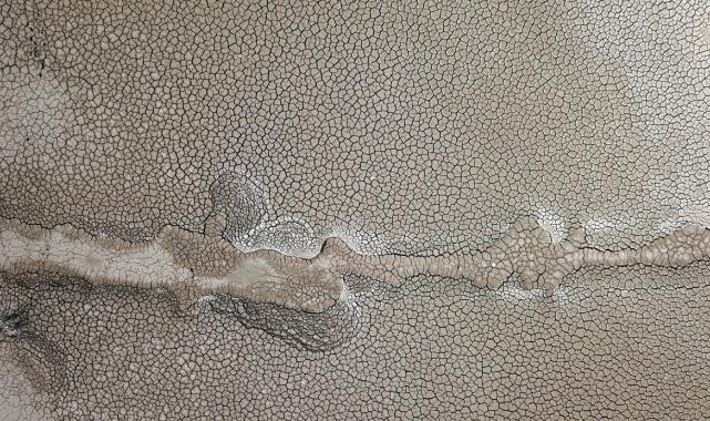 Bursa'da sulama barajı kuruma noktasına geldi