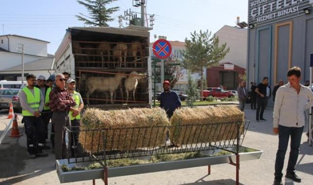 Eskişehir Büyükşehir Belediyesi’nin küçük çiftçiye yönelik desteği sürüyor