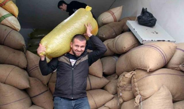 Giresun'da fındık alımı serbest piyasada 107 lira