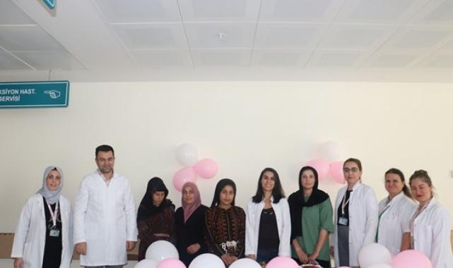 İlk 6 ay anne sütünün önemi