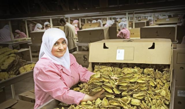 KOBİ'ler için kredi garanti sistemi geliştirilecek