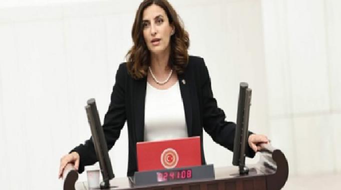 Rızvanoğlu: &quot;Korumak, bakanlığın yetki ve sorumluluğunda&quot;