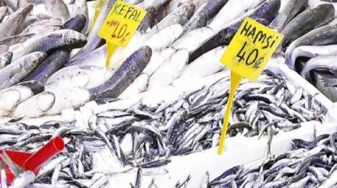 Samsun&#039;da hamsinin kilosu 40 liraya kadar indi