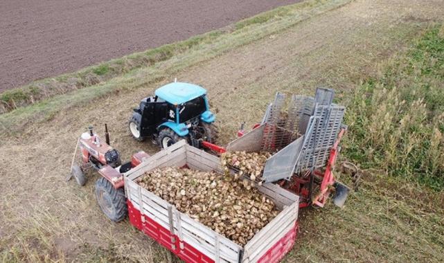 Şeker pancarı Erzincan Ovası'nın geçim kaynağı