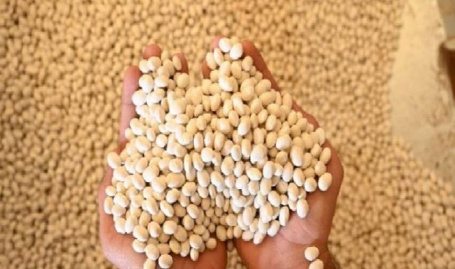 Akçabelen Fasulyesi'ne Konya'dan 'Büyük' destek