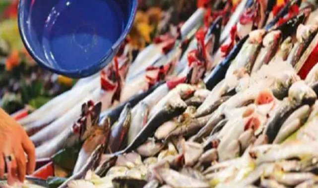 Bu balığı yiyenler o hastalıktan sonsuza kadar kurtulacak! Gözümüzün önündeki saklı cevher...