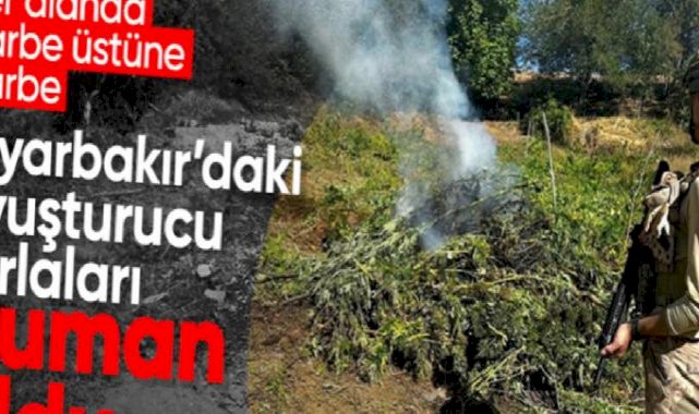 Diyarbakır’da Eren Operasyonu! Örgütün finans kaynağına darbe: 2 milyon 33 bin 800 kök kenevir bulundu