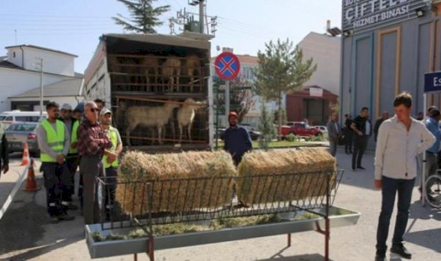 Eskişehir Büyükşehir Belediyesi’nin küçük çiftçiye yönelik desteği sürüyor