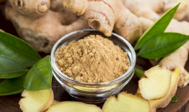 Faydası saymakla bitmiyor! Mide bulantısını ve kusmayı önleyen zencefilin faydaları: Antibaktariyel etkisi var