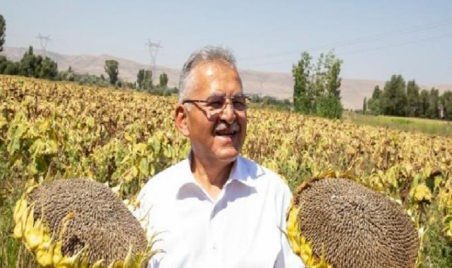 Kayseri Büyükşehir'den ay çekirdeği kurutma sahası