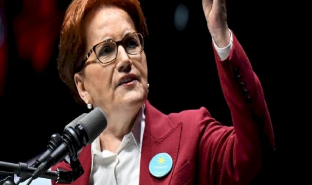 Meral Akşener: Cumhuriyet'i bir siyasi parti değil Türk milleti kurmuştur