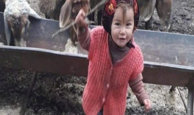 Müslüme Yağal'ın ölümüne ilişkin davada gelişme! Mütalaa açıklandı