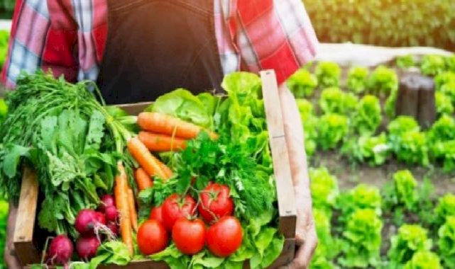 Organik tarım yaygınlaşıyor