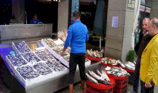 Palamut Trabzon'daki tezgahlarda yerini aldı