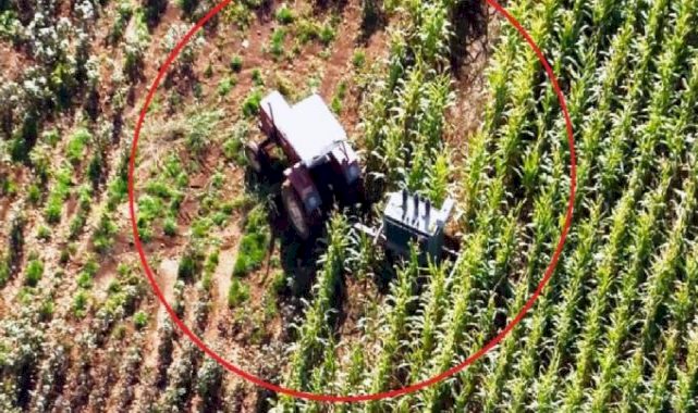 Şanlıurfa'da 13 milyon liralık elektrik borcu! Ekiplere taşla saldırdırıp trafoyu tarlaya sakladılar...