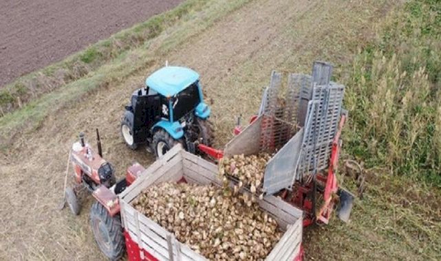 Şeker pancarı Erzincan Ovası'nın geçim kaynağı
