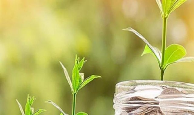 Temiz enerji yatırımları destekleniyor! Türkiye'deki bankaların 'iklim karnesi'