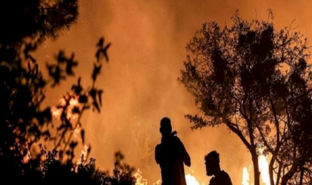 Türkiye'de 9 ayda 2 bin 197 orman yangınına müdahale edildi