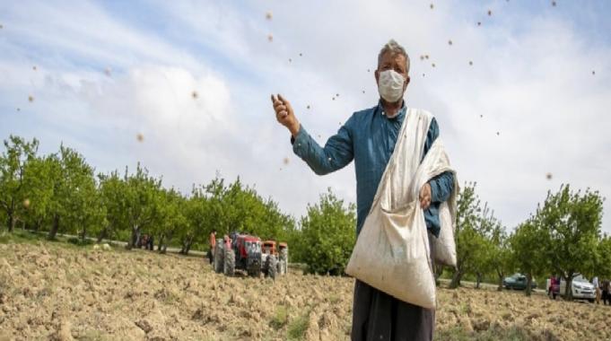 Tarımsal girdi fiyatları ağustosta yıllık yüzde 41,33 arttı