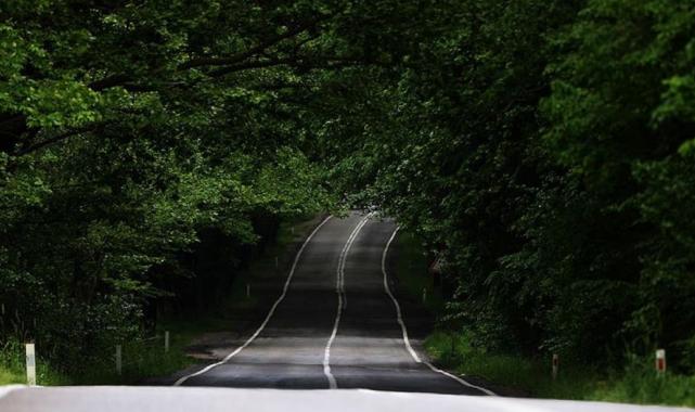 Türkiye'de 9 ayda 2 bin 197 orman yangınına müdahale edildi