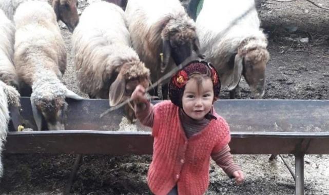 Türkiye'nin günlerce konuştuğu olayda karar! Müslüme'nin dedesinin cezası belli oldu