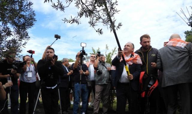 Zeytinyağı ihracatı rekoru 1 milyar dolara yaklaştı