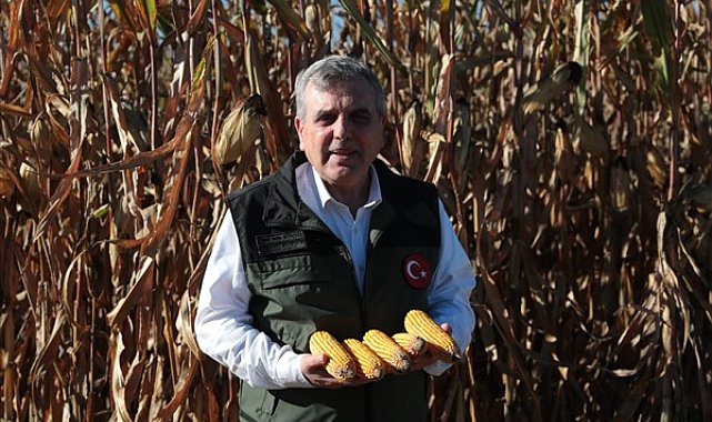 Başkan Beyazgül, mısır hasadına katıldı