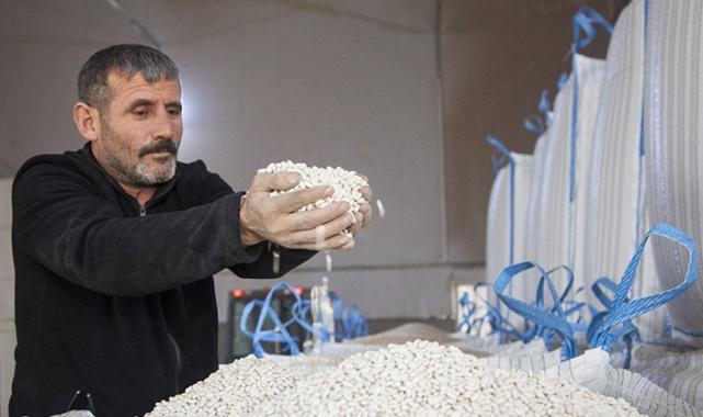 Bitlis'ten 20 bin ton kuru fasulye hasadı