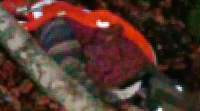 Bursa&#039;da kestiği ağacın altında kalan işçi öldü