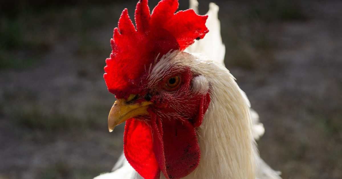 Daha önce hiç duymadınız: Aklınızı başınızdan alacak 10 eğlenceli gerçek