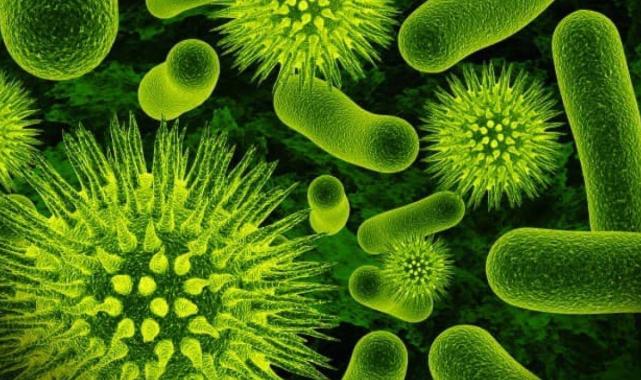 Daha önce hiç duymadınız: Aklınızı başınızdan alacak 10 eğlenceli gerçek