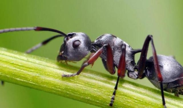 Daha önce hiç duymadınız: Aklınızı başınızdan alacak 10 eğlenceli gerçek