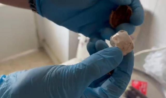 Diyarbakır'da narkotik operasyonu: Ceviz kabuklarından uyuşturucu çıktı