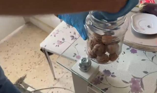 Diyarbakır'da narkotik operasyonu: Ceviz kabuklarından uyuşturucu çıktı