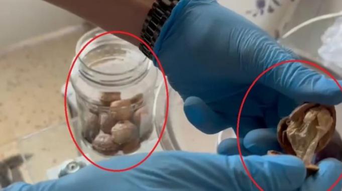 Diyarbakır&#039;da narkotik operasyonu: Ceviz kabuklarından uyuşturucu çıktı