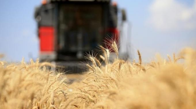 FAO: Küresel gıda fiyatları 30 ayın en düşük seviyesine indi