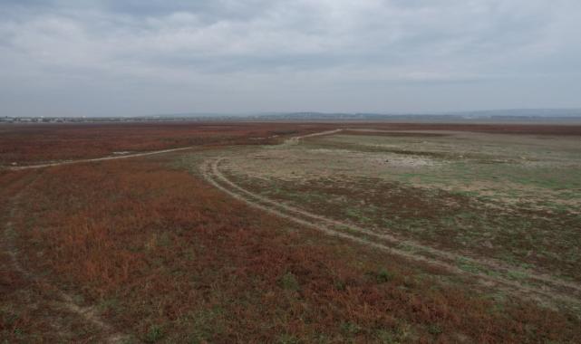 İstanbul alarm veriyor: Büyükçekmece Gölü kurudu, su alımı durduruldu