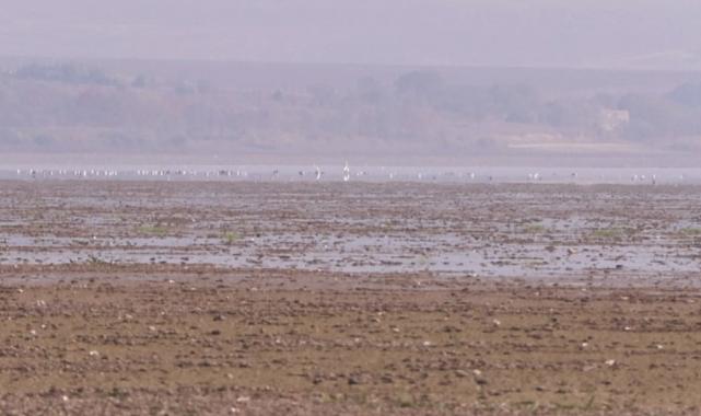 İstanbul alarm veriyor: Büyükçekmece Gölü kurudu, su alımı durduruldu