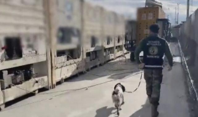 İstanbul Ambarlı Limanı’nda 275 bin 520 adet elektronik sigara ele geçti