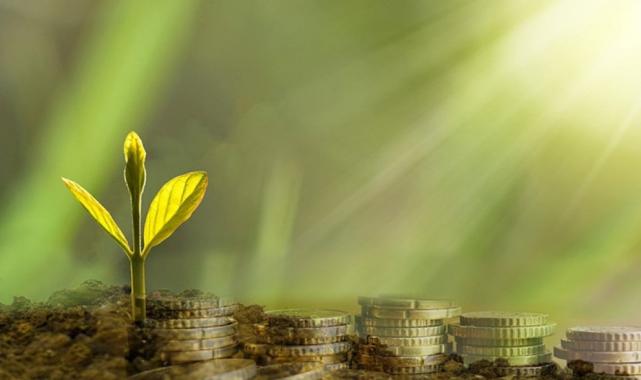 Merkez Bankası, yeşil tahvil ihraç bilgilerini paylaştı