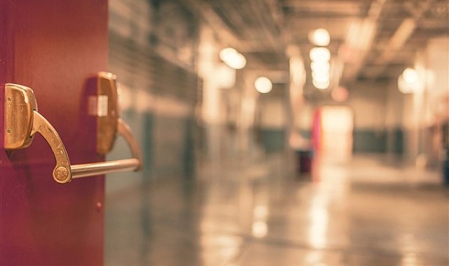 Pakistan Cumhurbaşkanı Alvi, Federal Sağlık Bakanı Jan ile bir araya geldi