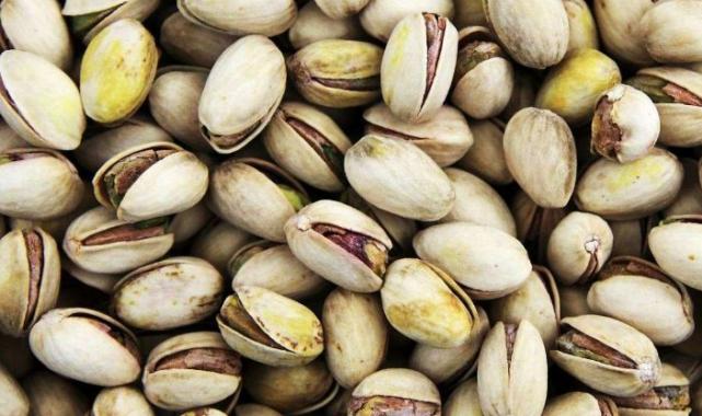 Selendi fıstığına Salihli TSO’dan coğrafi tescil başvurusu