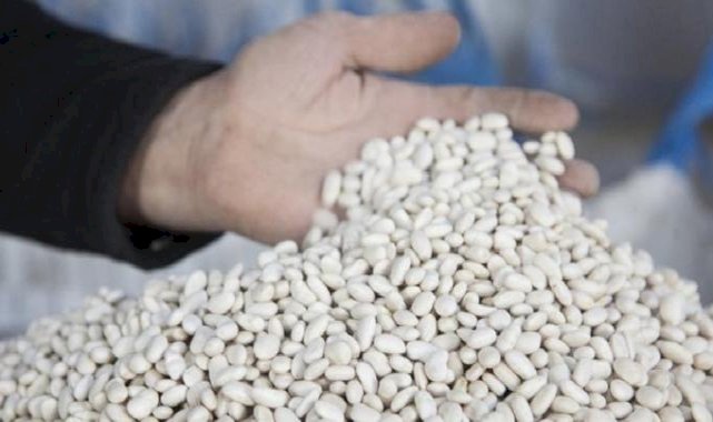 Bitlis'ten 20 bin ton kuru fasulye hasadı